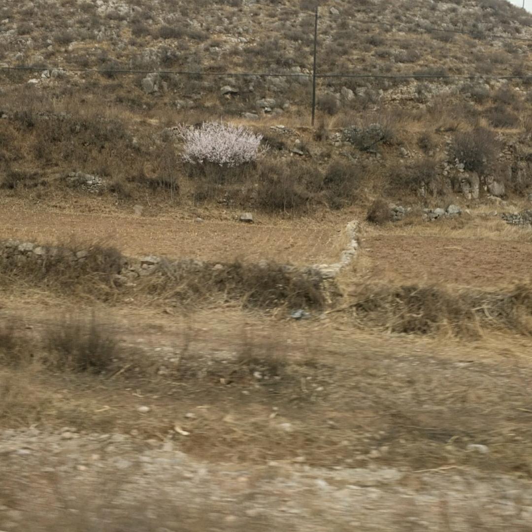 刘闫