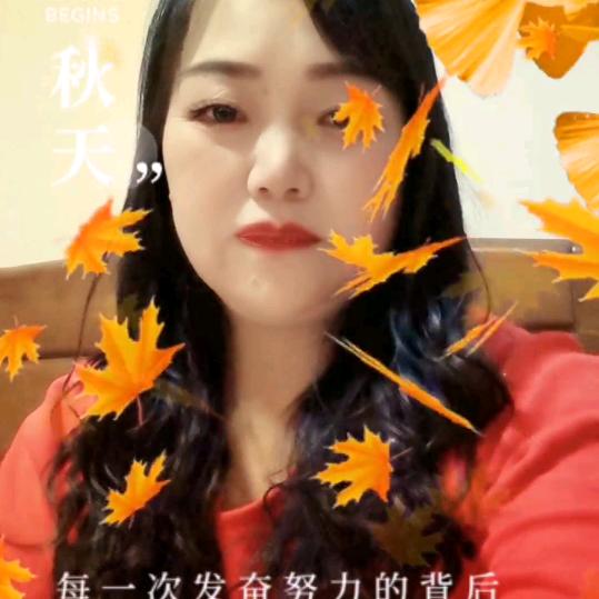 芙蓉