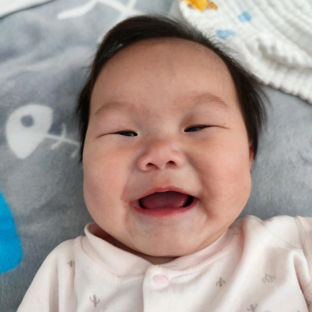 猪桐的魚籽麻麻