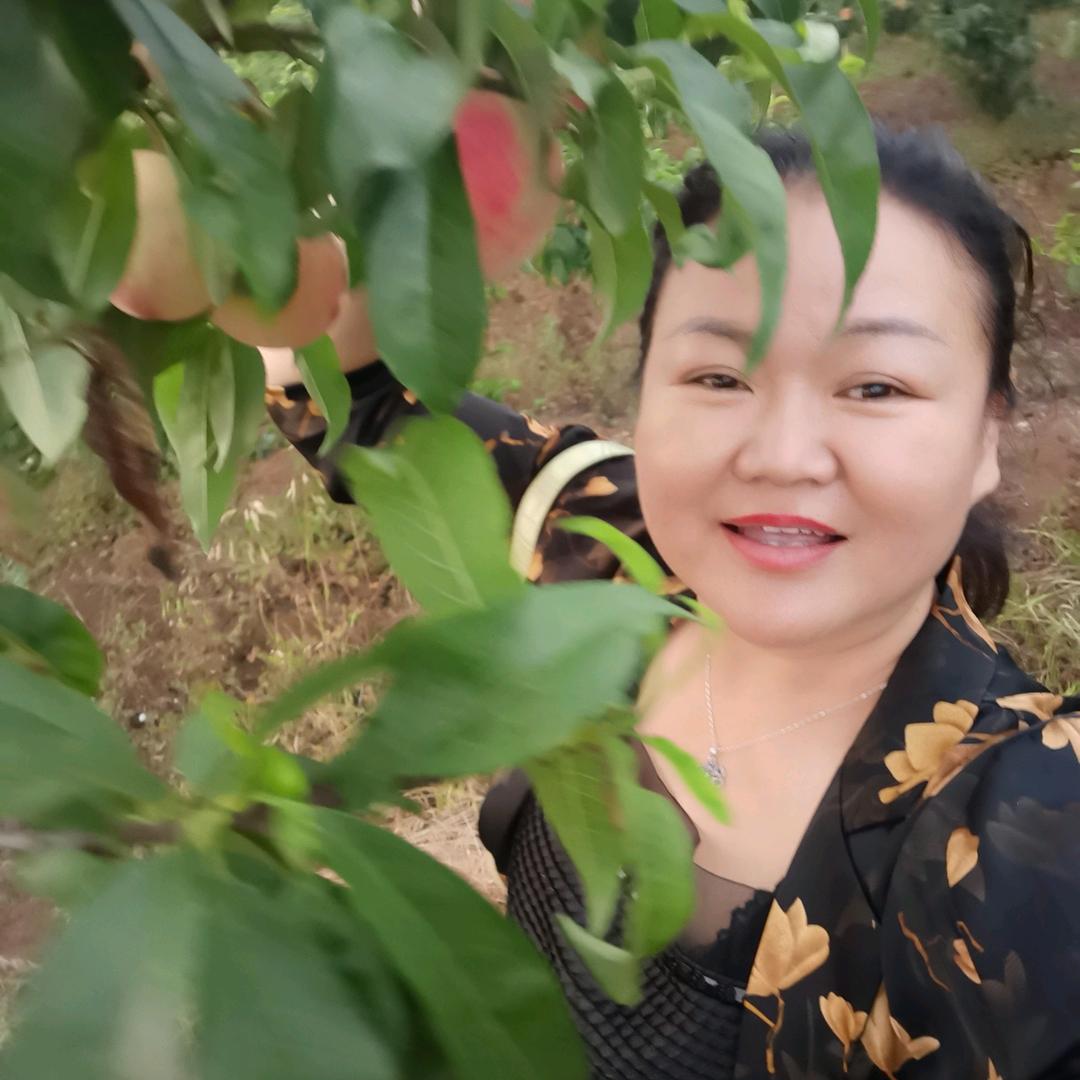 梅姐，（好物分享）