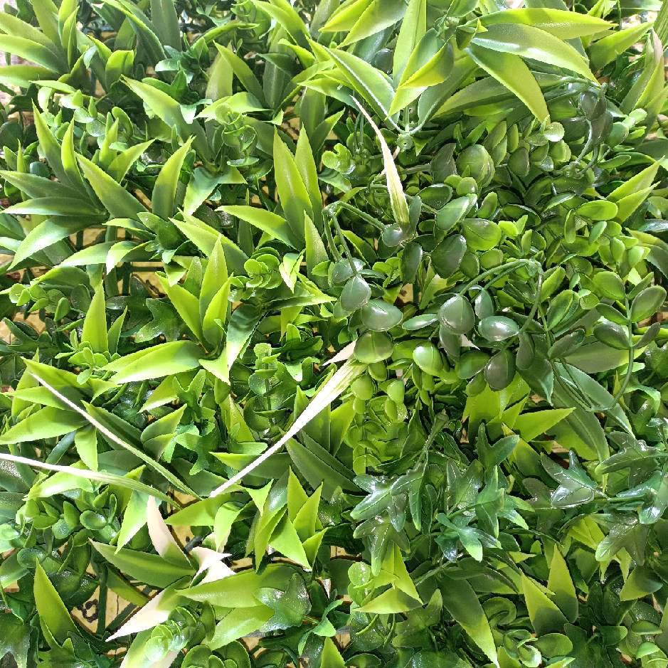 开心刘阿姨