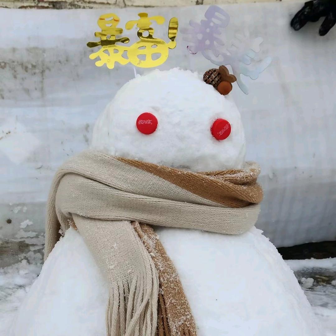 丑小鸭与癞蛤蟆