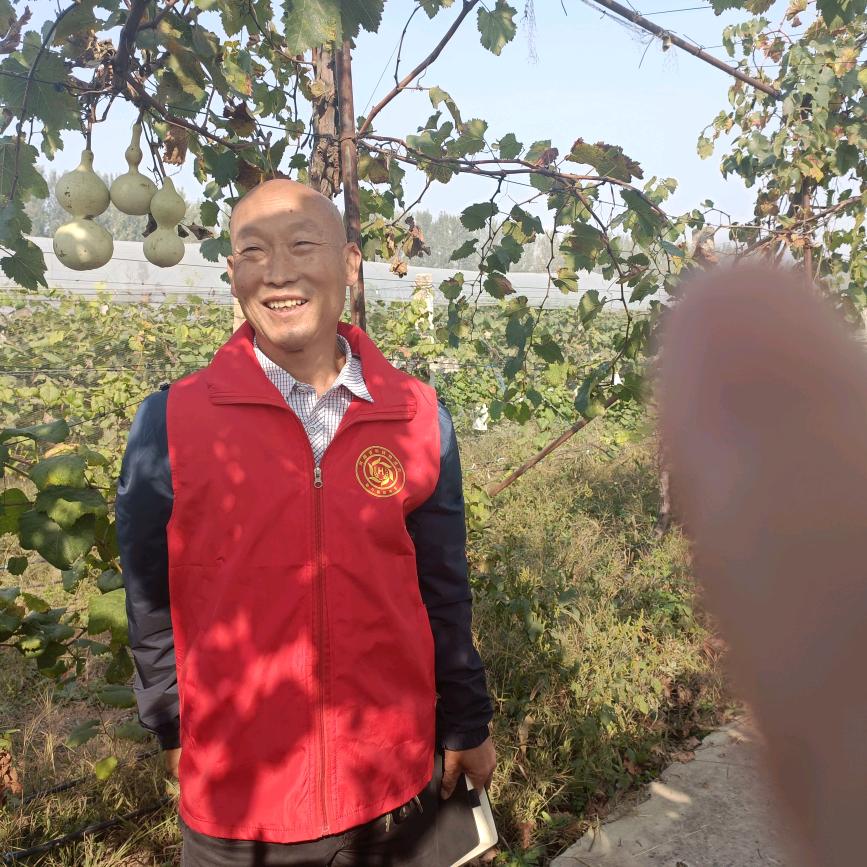 老刘讲葡萄技术管理果园