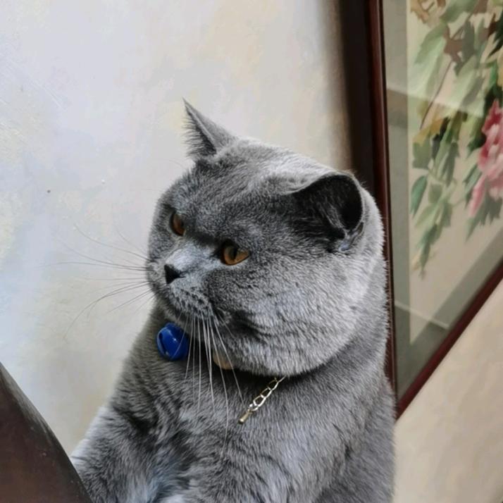 熙熙奶奶。