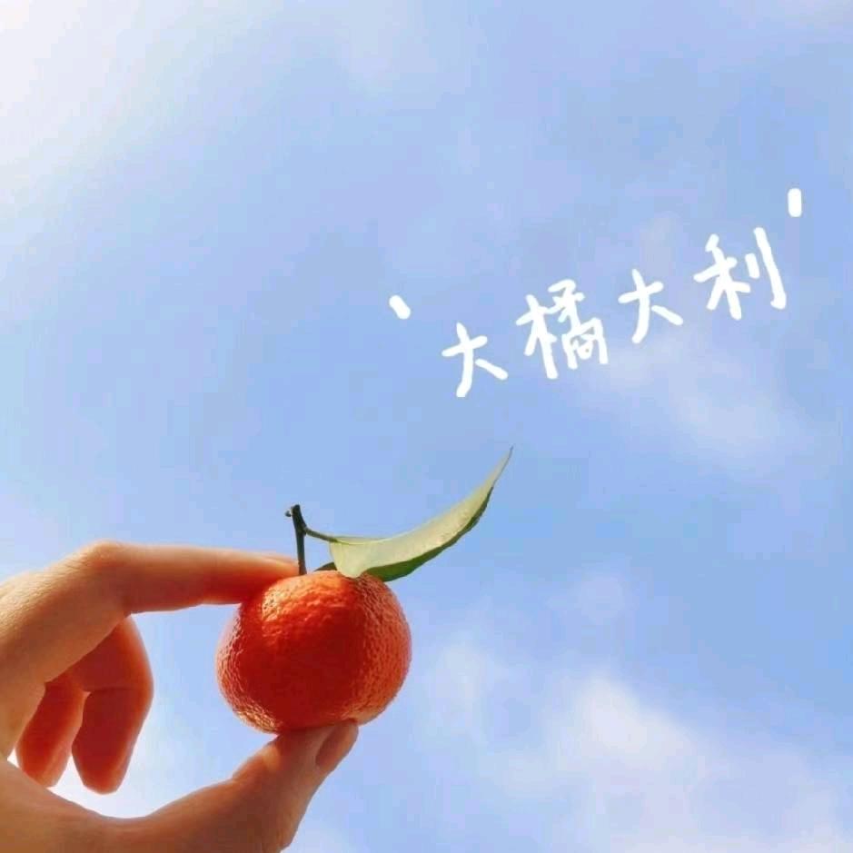 晓飞98