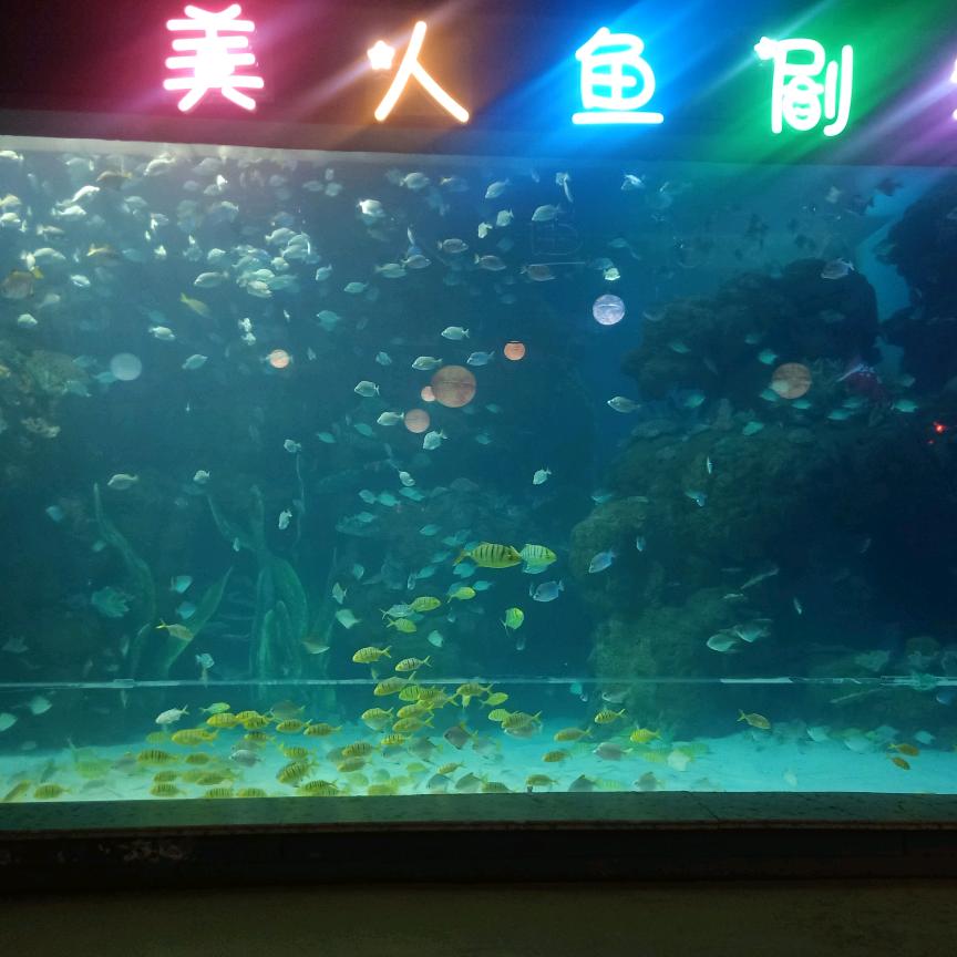 ，，。。