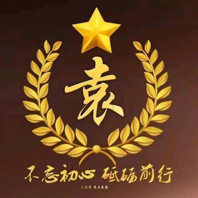 随心所欲，独来独506843553937
