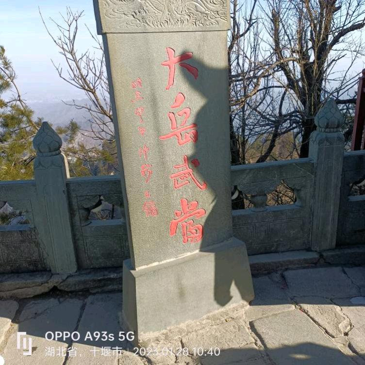 萱萱