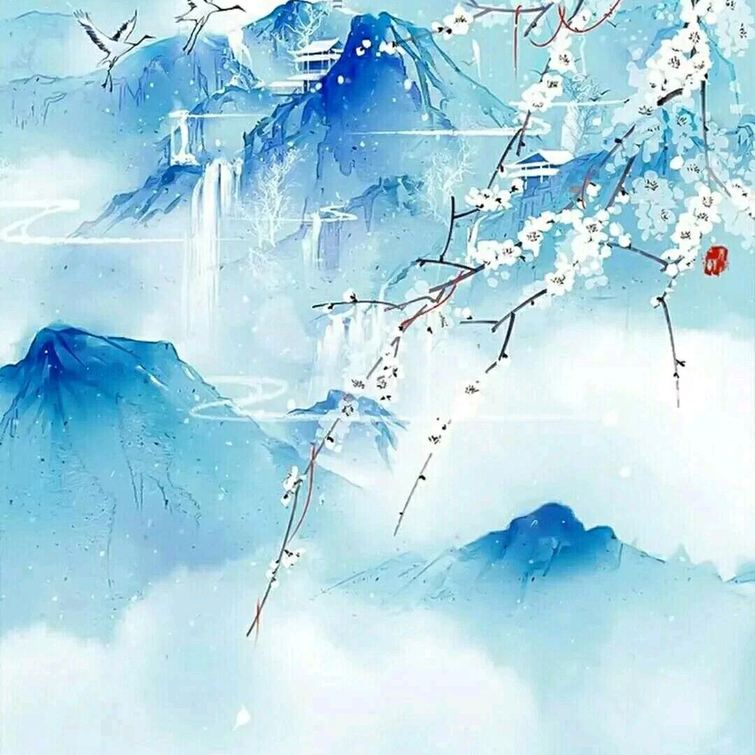 聂晓晓