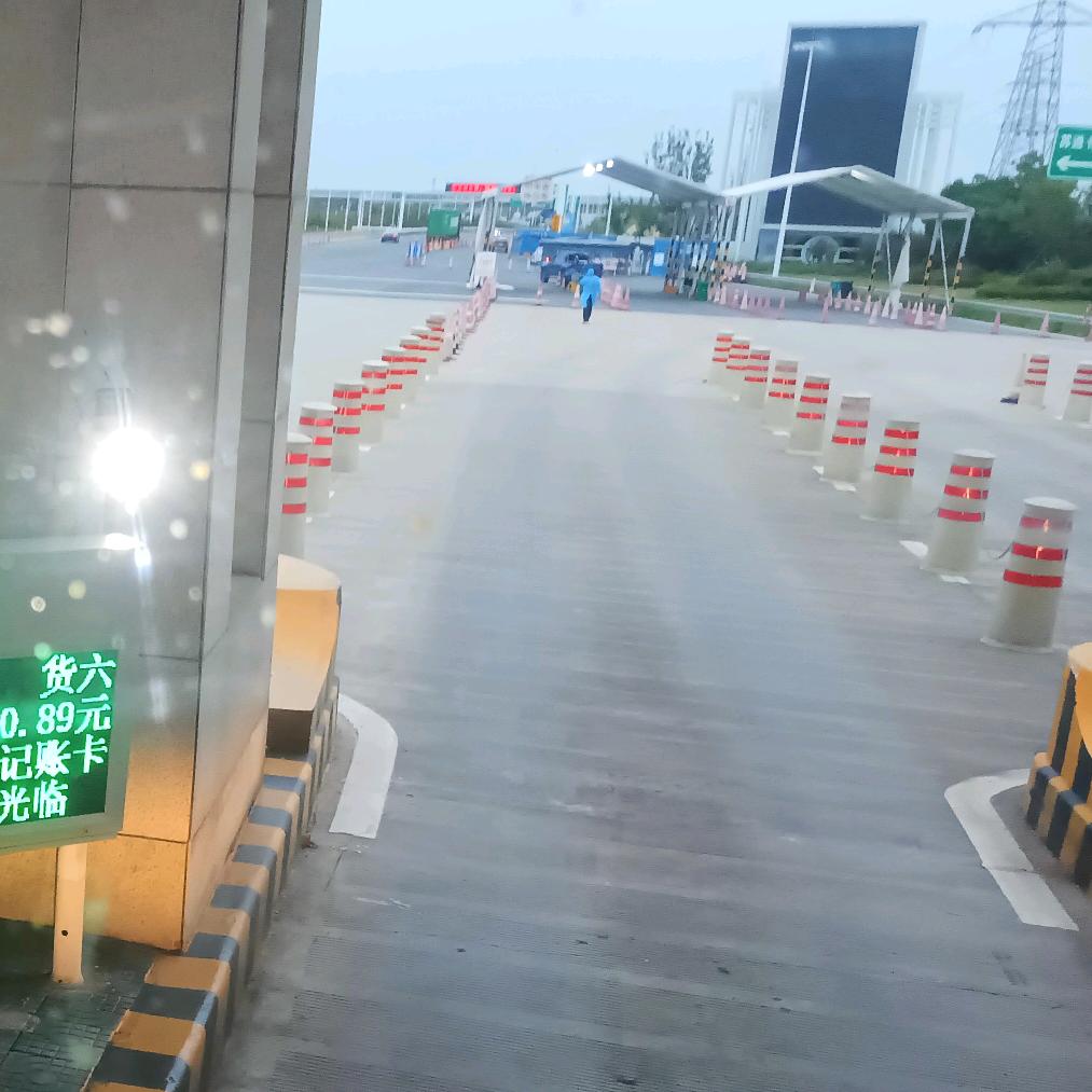 顺其自我