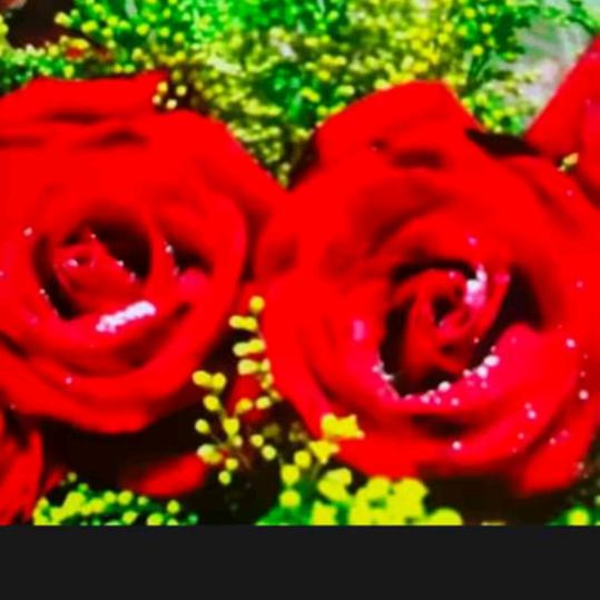 心里只有你19993421708