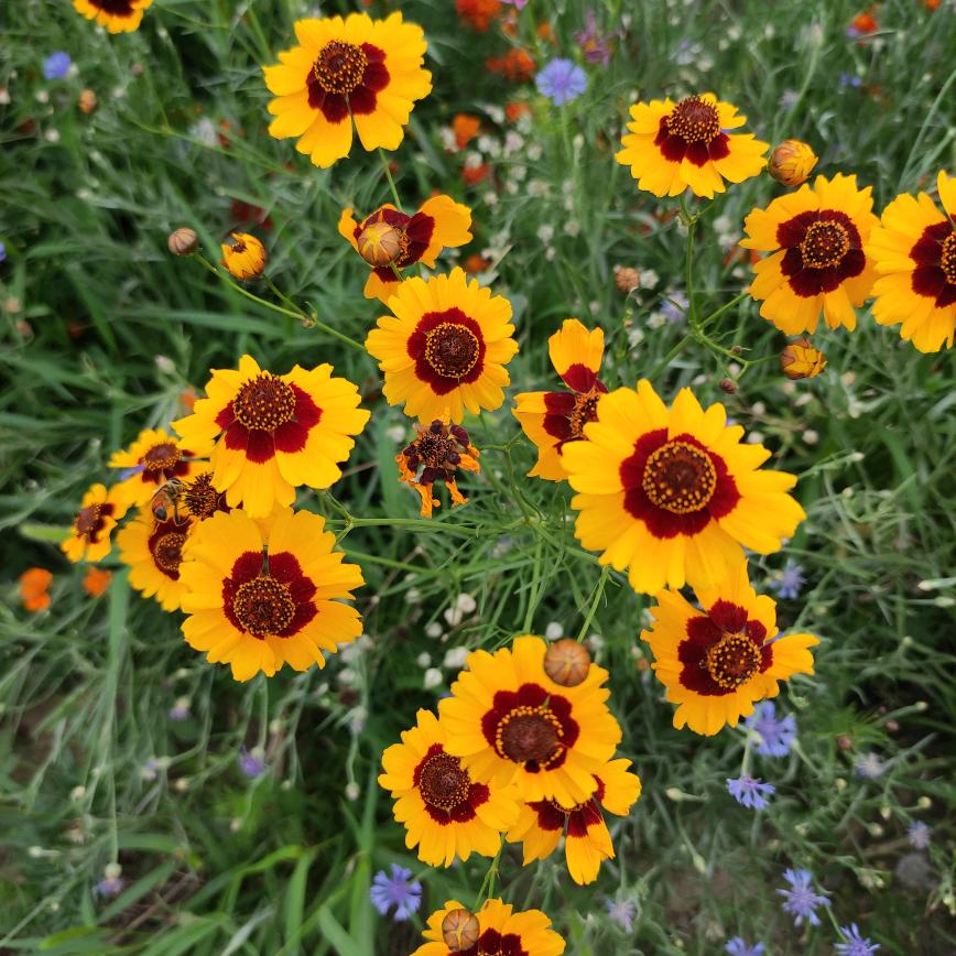 懂的珍惜才配拥有