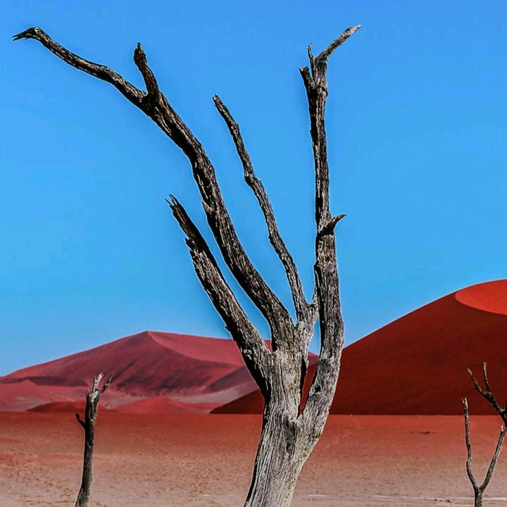 迟来的爱5706338624733