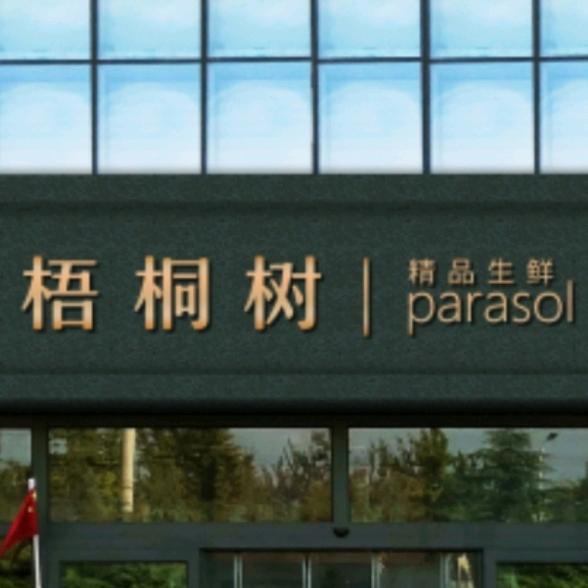 梧桐树寻好品