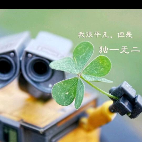 路人 乙
