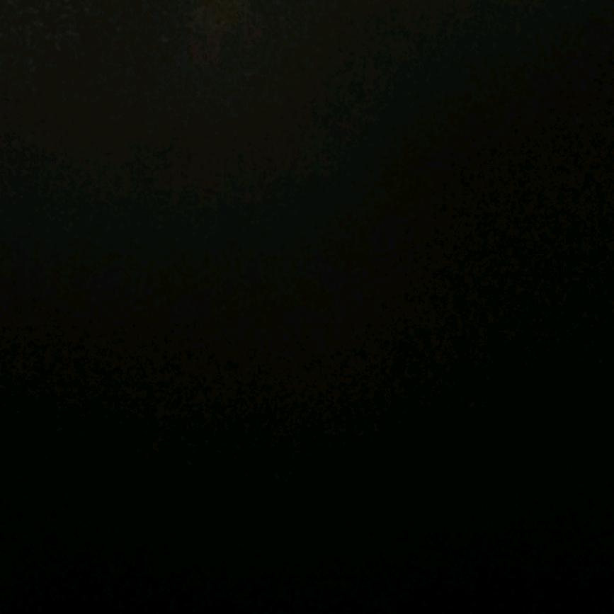 一生无悔