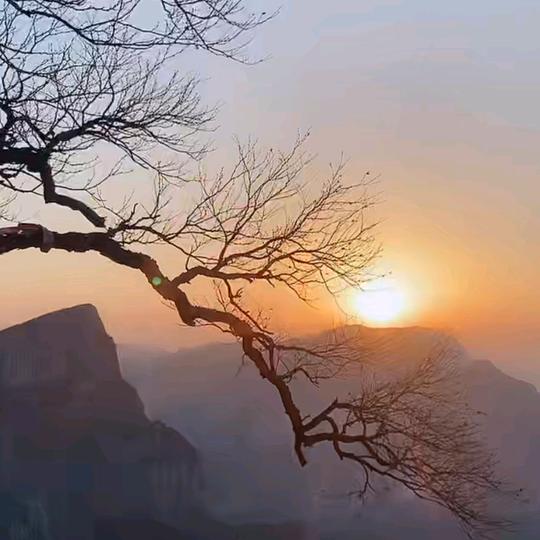 听自然