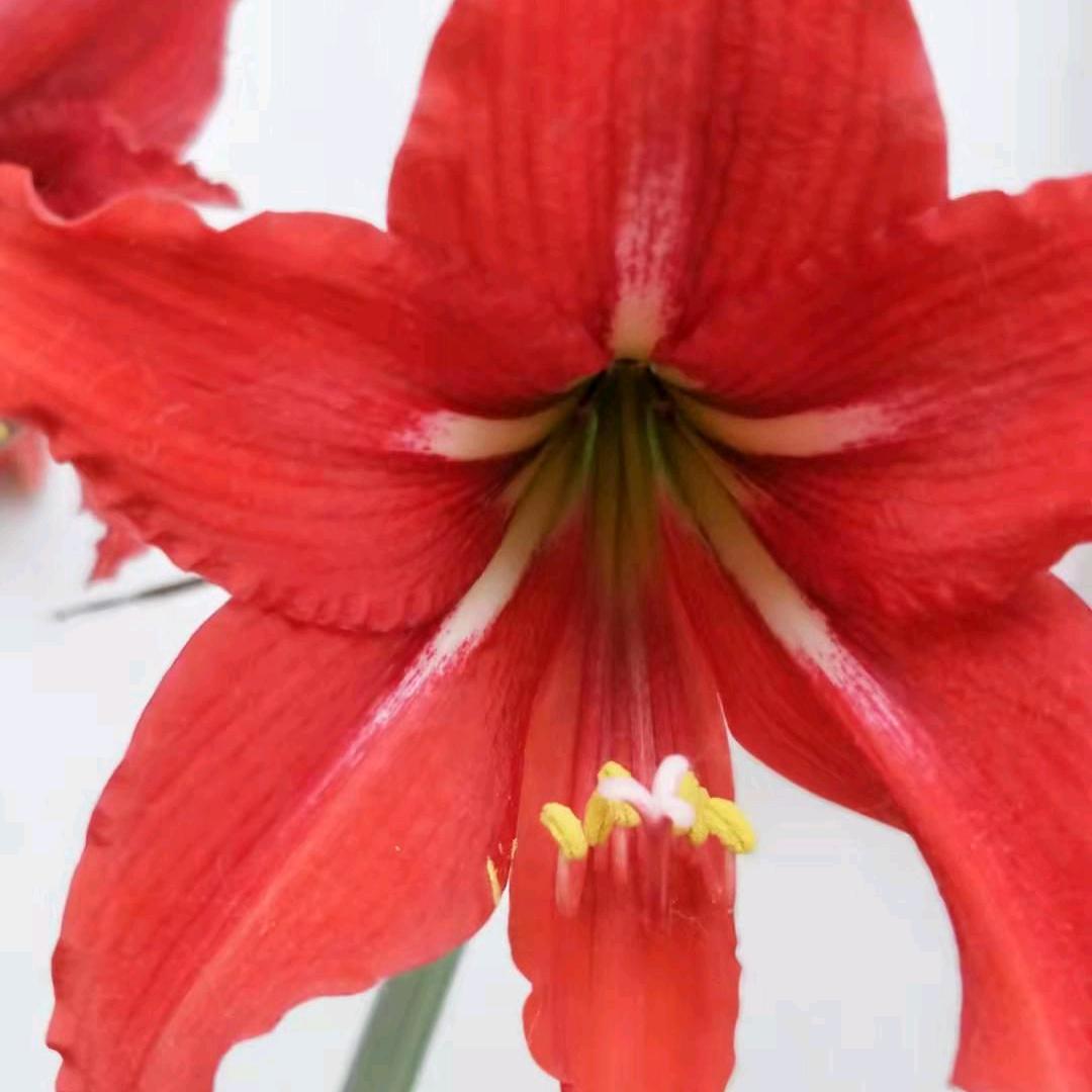 宁静致远（连赞拉黑）