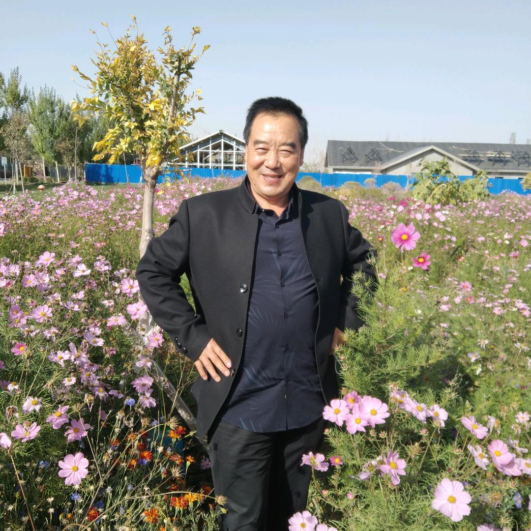 幸福马**