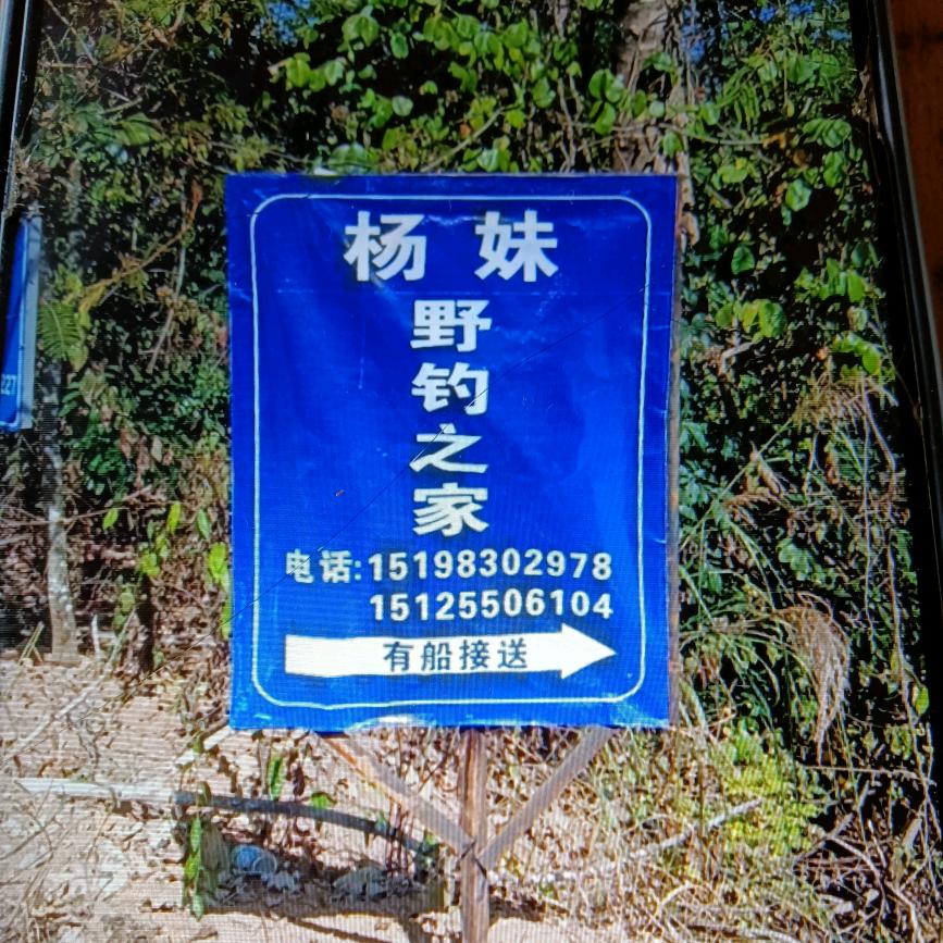 大凹子小黑江杨妹钓场🌹🌹🌹