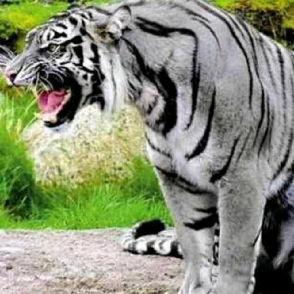 独处一世的霸气