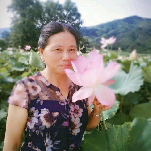 抖音～杨柳英
