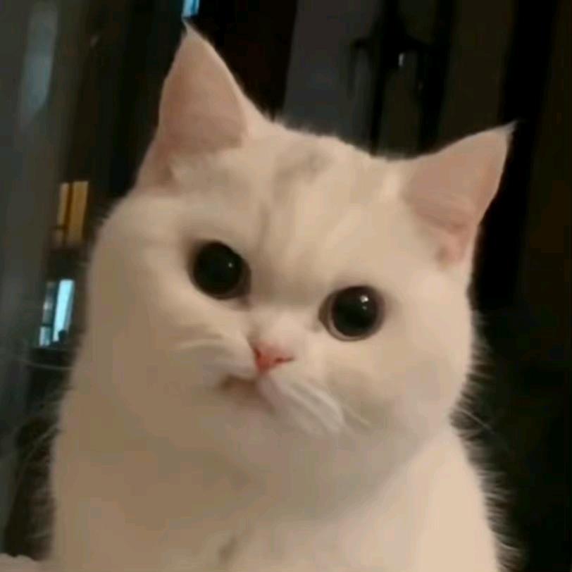 真实的自己🌈🌈