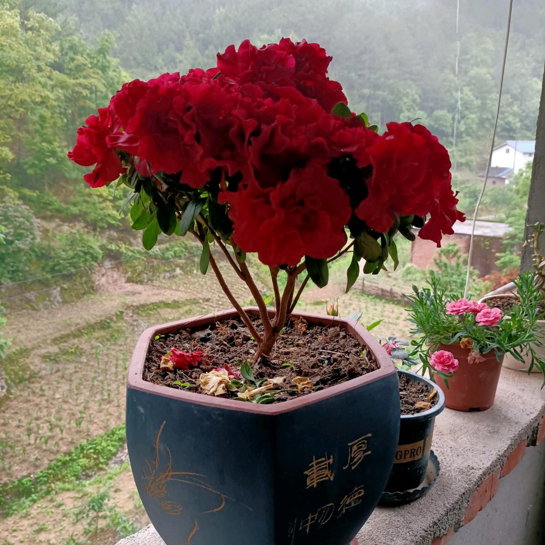 单亲爸爸