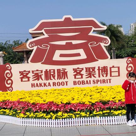 白州一线