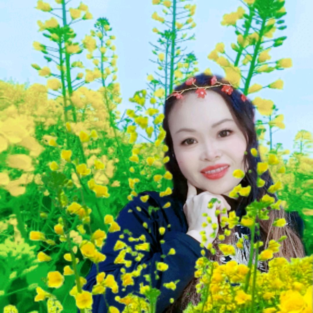 琴格格手工（下午2：20开播，成品批发）