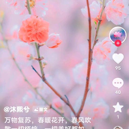 合香