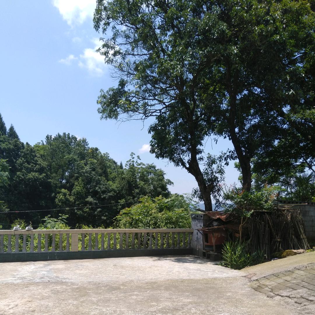 玉～头像
