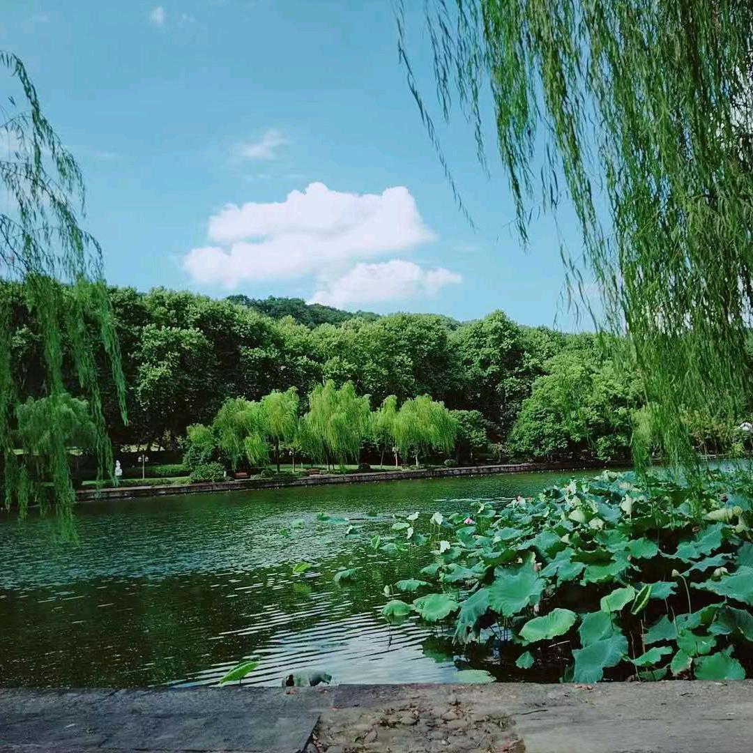 开心欢乐