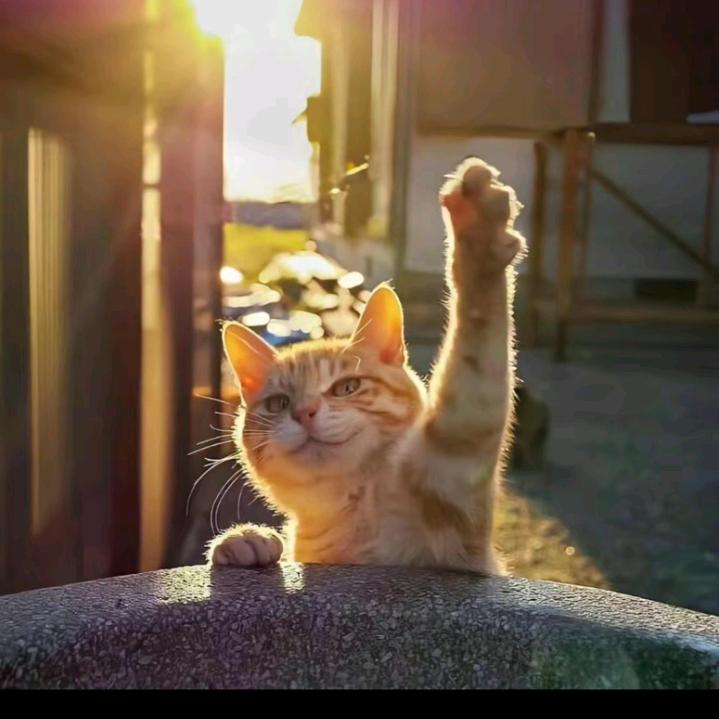 阳光与你