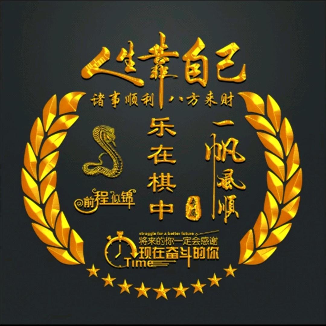 乐在棋中（好物分享）