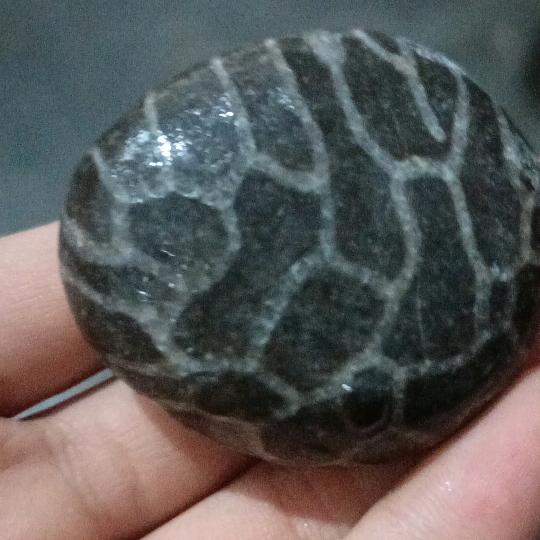 手机用户19728928369