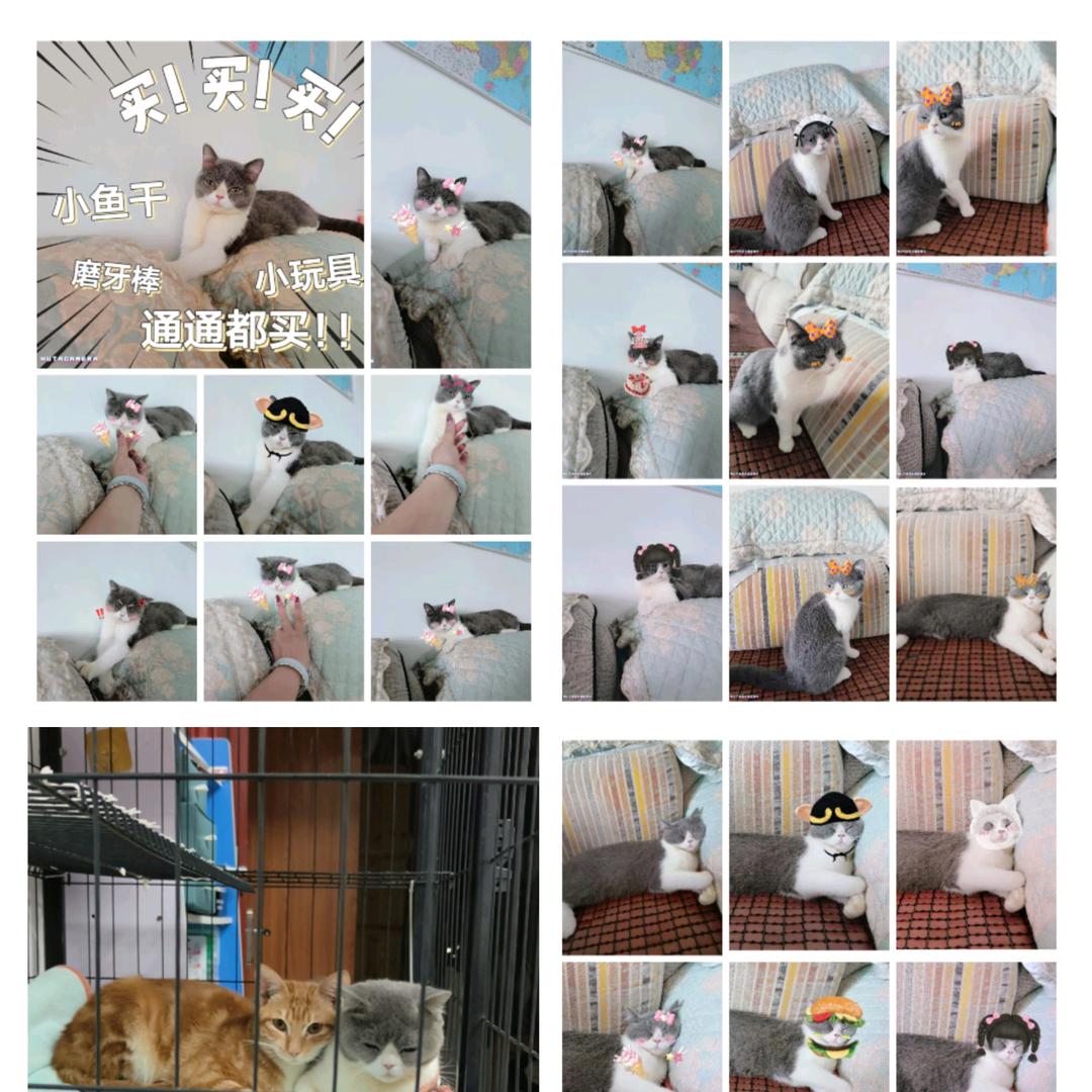 此