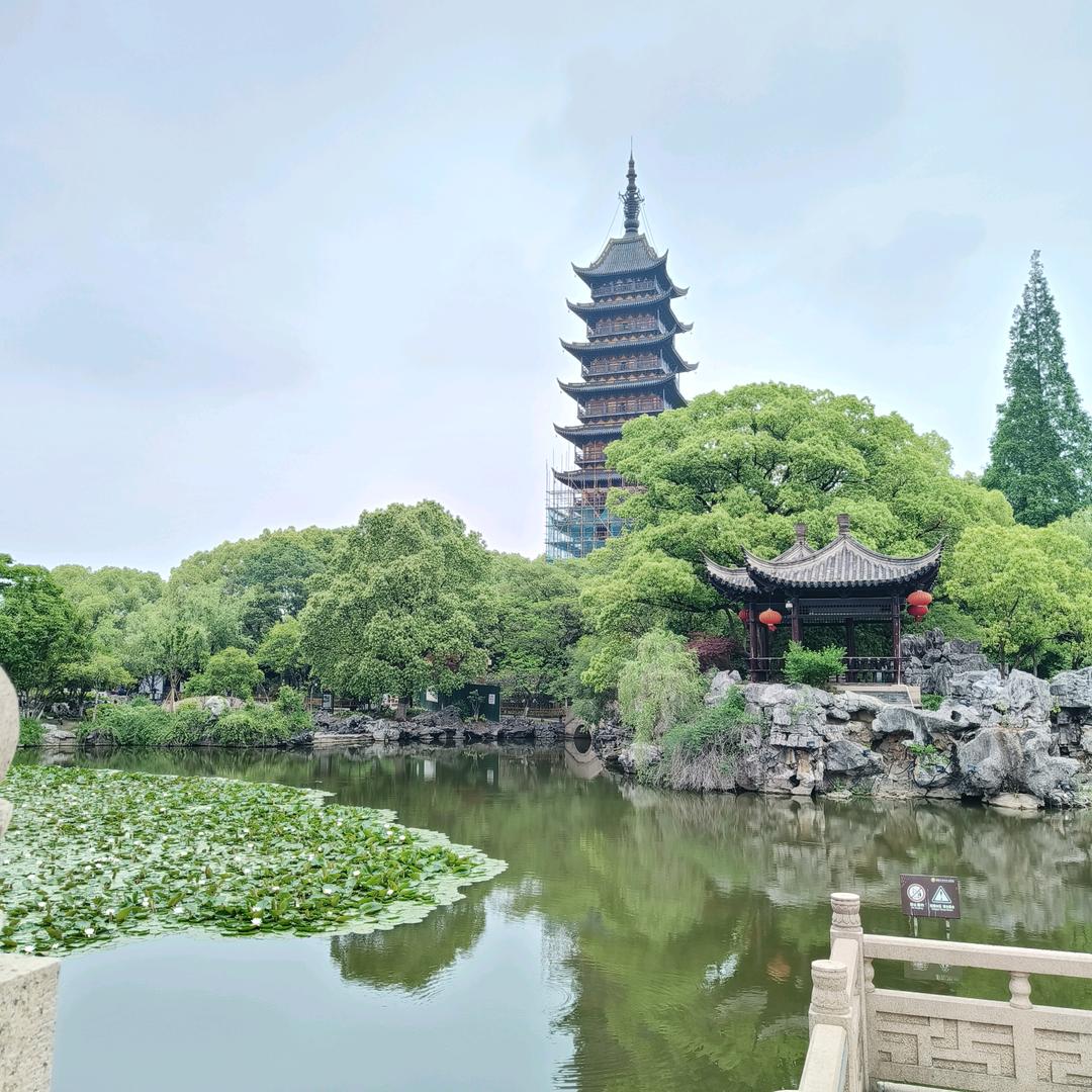 流金岁月，飘落的枫