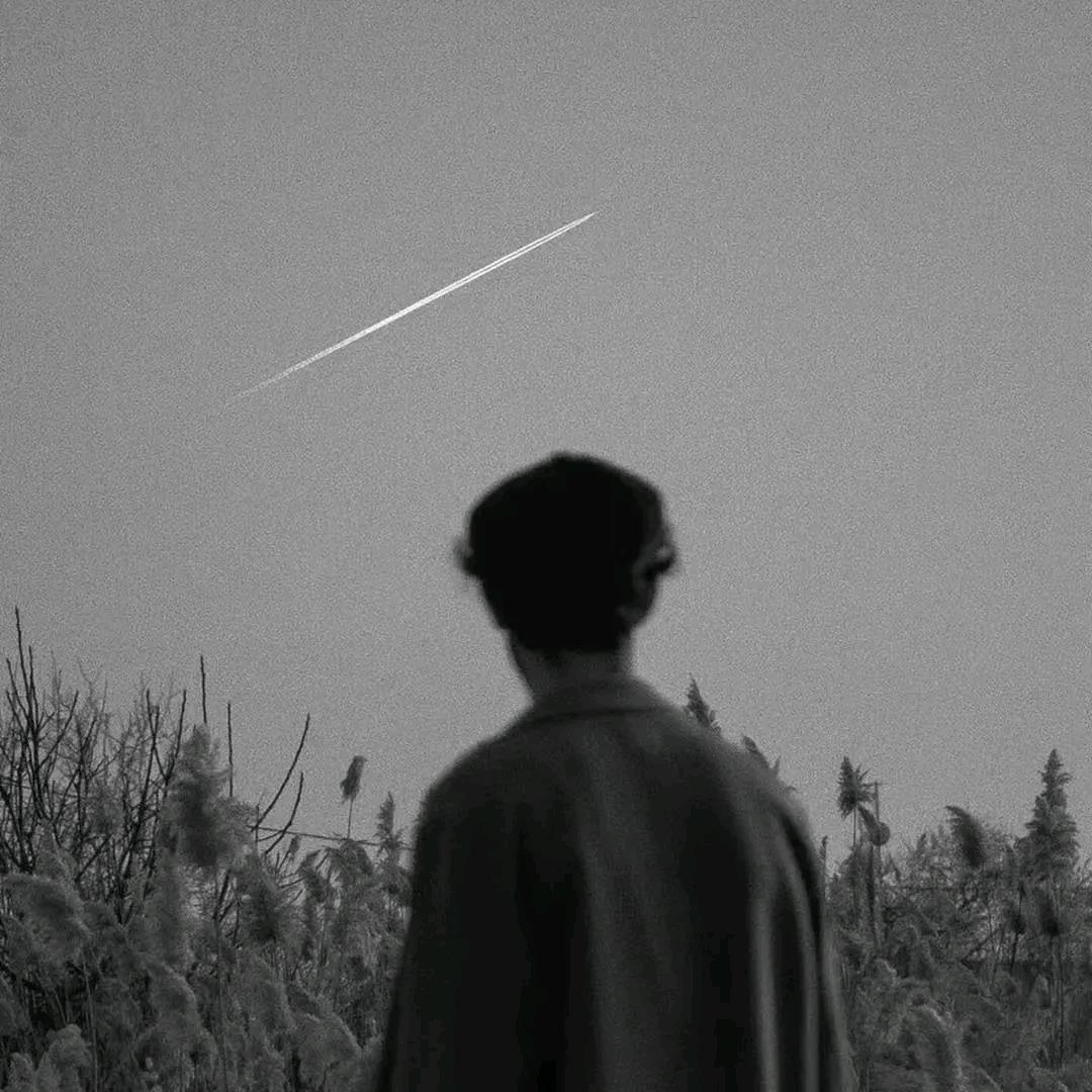 摘颗星