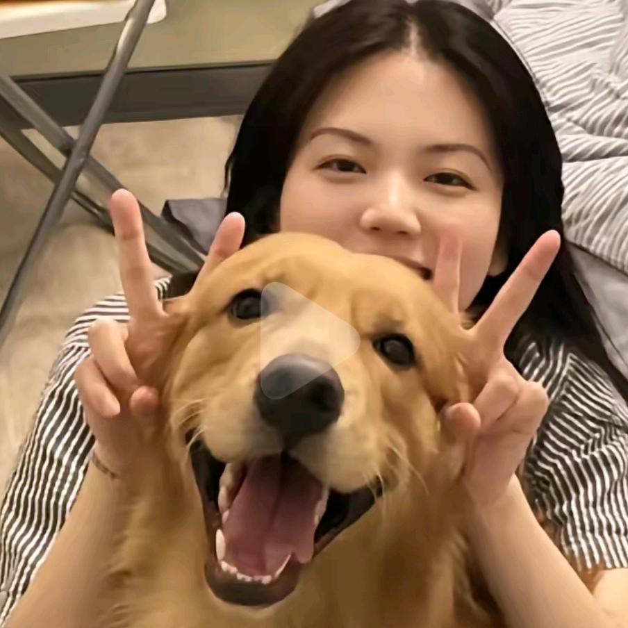 树上有只熊咯