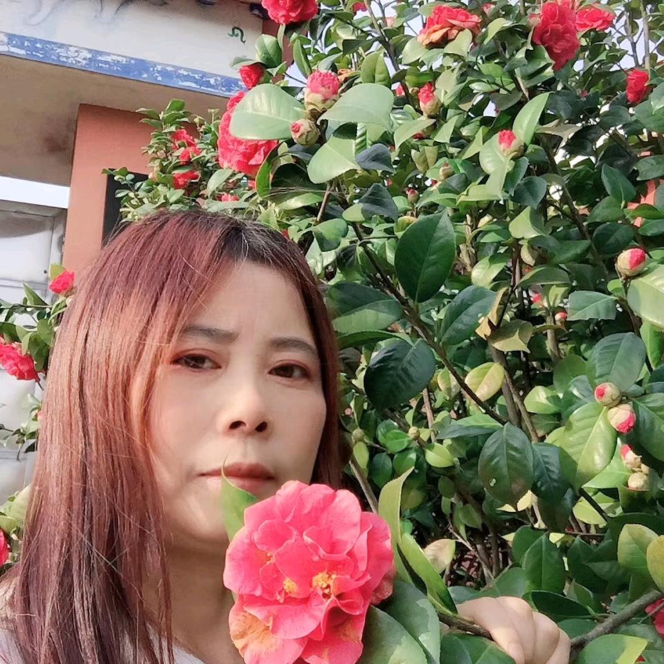 用户5204528028404陈家三姐