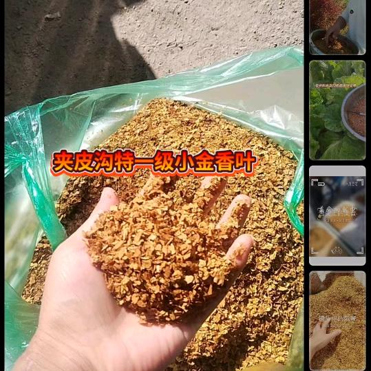 夹皮沟豆饼香手卷小金叶