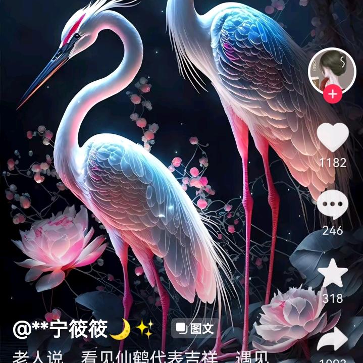 随风飘飘