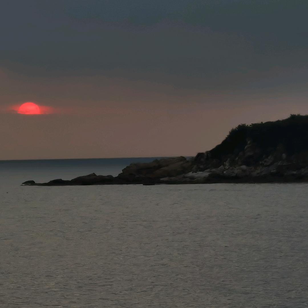 爱鹤琳的闫先生