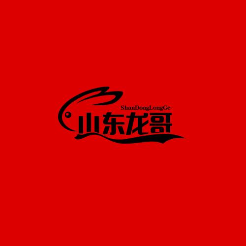 张龙