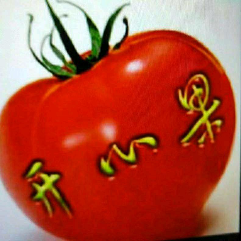 用户小果果
