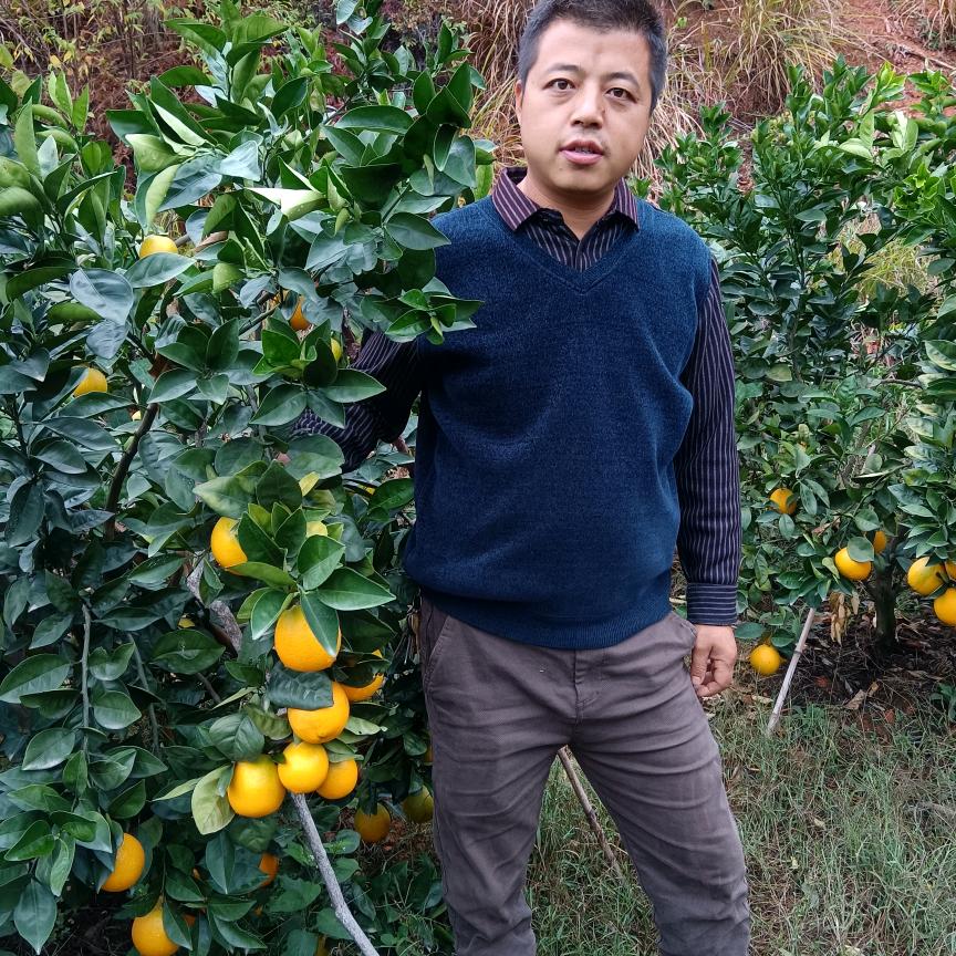 王季方