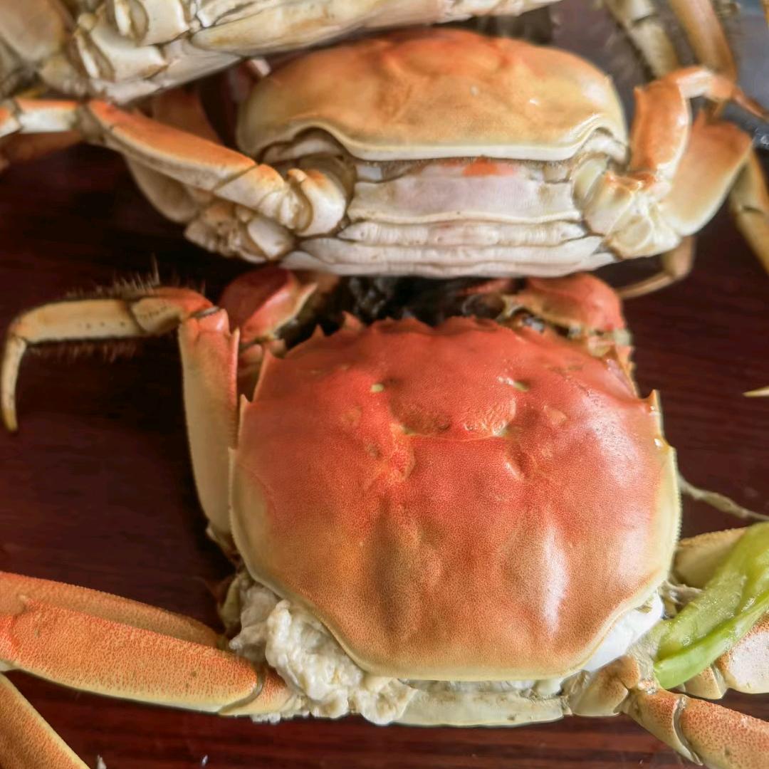 卿九