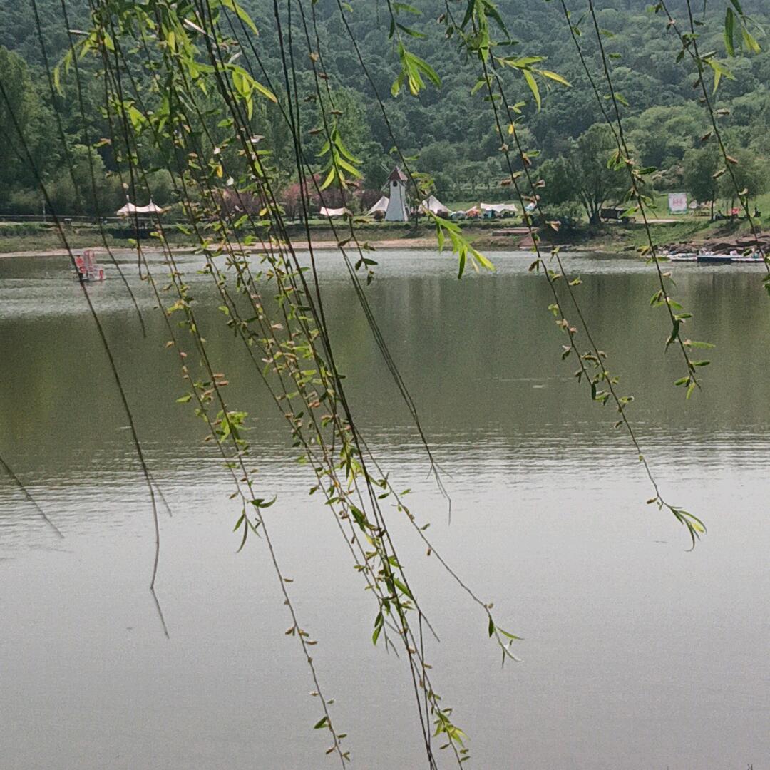 零食<杰>哥