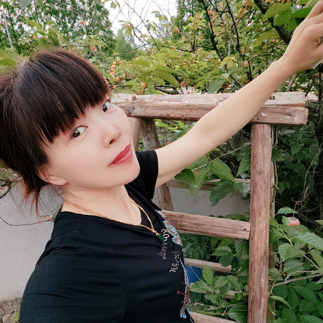 安吉—白茶🍵🍵🌹🌹